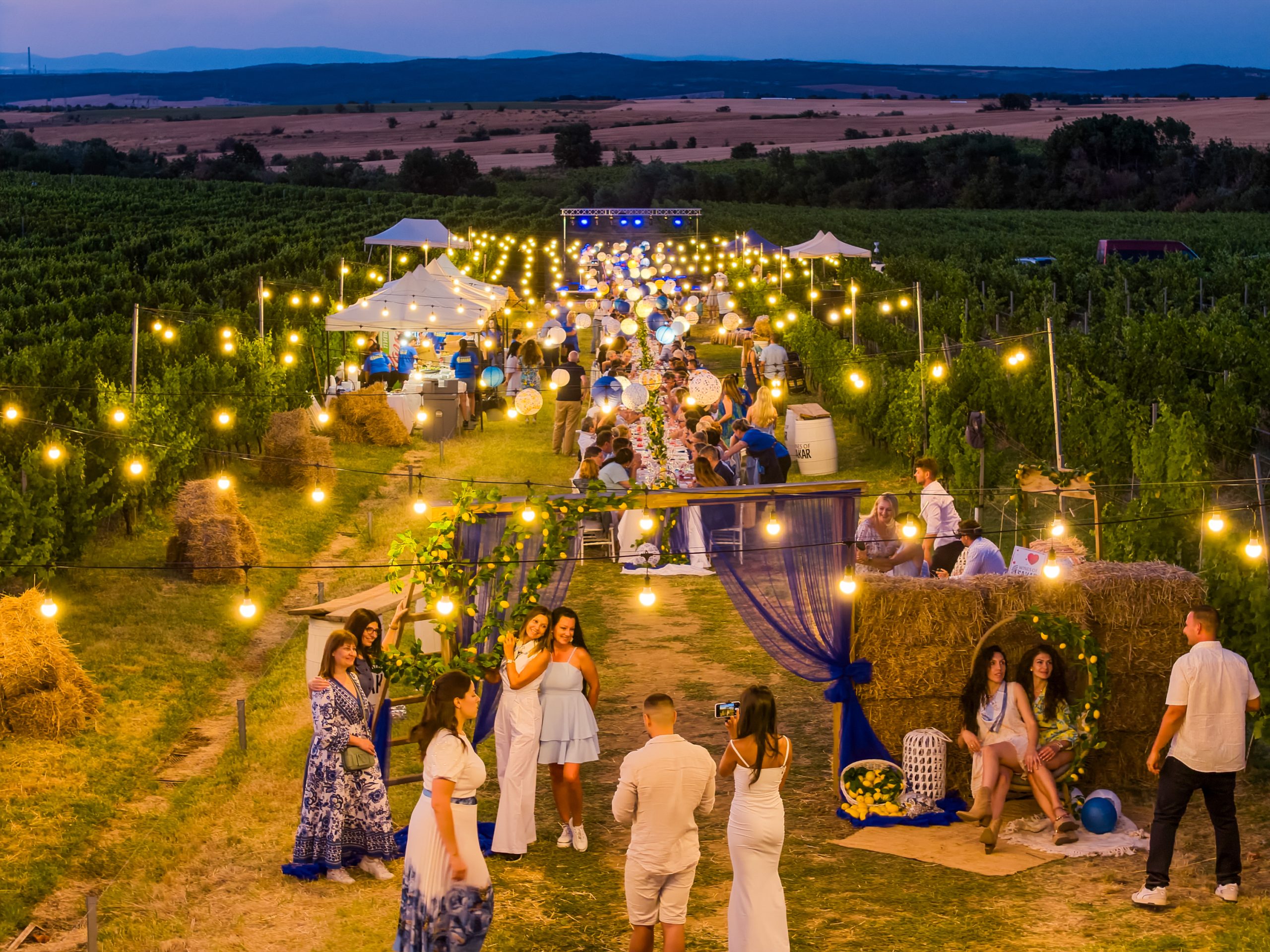 Wines of Sakar 2025 Summer Event